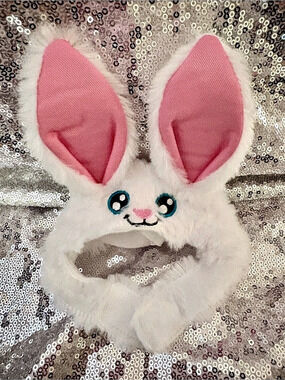 Bunny Ear pet hat